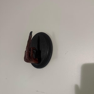 Kaitlyn heeft een foto van de aankoop toegevoegd