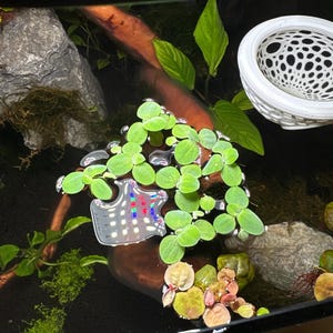 Ellie heeft een foto van zijn/haar aankoop toegevoegd