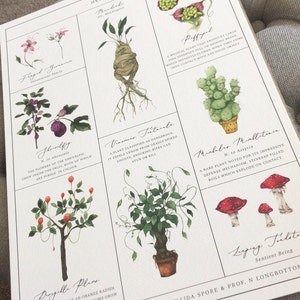 Herbology Chart A3 Print - Etsy
