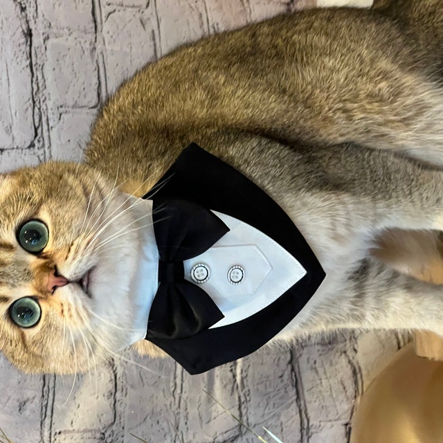 Haustier-Halsband Mit Fliege - Halloween-Skelett Design, Verstellbar Für Kleine Hunde & Katzen