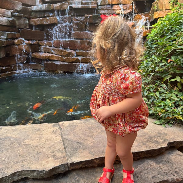 Vive la Fete Baby Girls Smocked Rust Gingham Girls Bubble - Texas main image 0