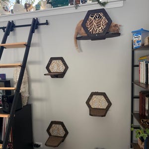 Jody added a photo of their purchase
