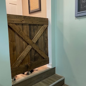 Molly added a photo of their purchase