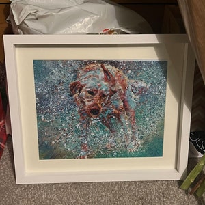 Mathew added a photo of their purchase