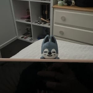Inactive account added a photo of their purchase
