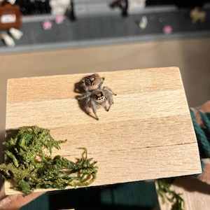 Jeff added a photo of their purchase