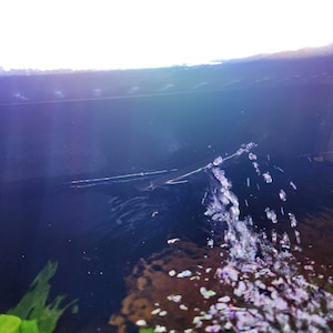 Nadia added a photo of their purchase