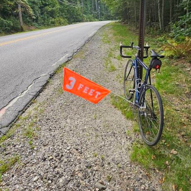 Take Your Lane Three-foot Adjustable Bike Safety Flag 