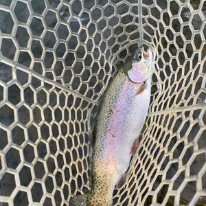 Tungsten San Juan Worm Hot Pink - Bigfork Anglers, Hot Pink Fishing Lures