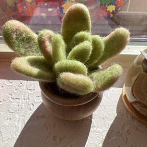 Chrissa added a photo of their purchase