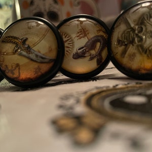 Amanda added a photo of their purchase