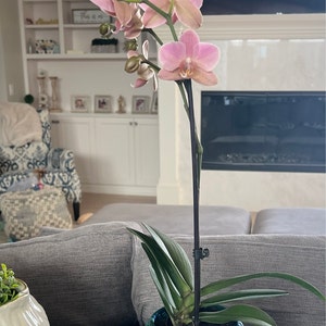 Jenna added a photo of their purchase