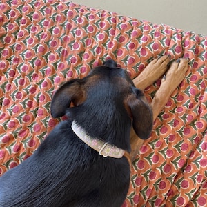 sage added a photo of their purchase