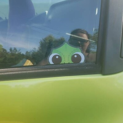 Pascal Peeker Transparent Car Decal/ Rapunzel Sidekick Peekaboo Window ...