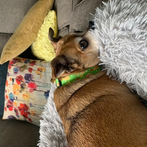 Melissa ha añadido una foto de su compra