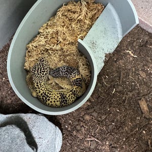 Sandra added a photo of their purchase