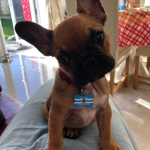 Don added a photo of their purchase