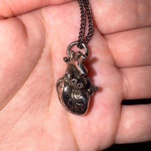 Rayne added a photo of their purchase