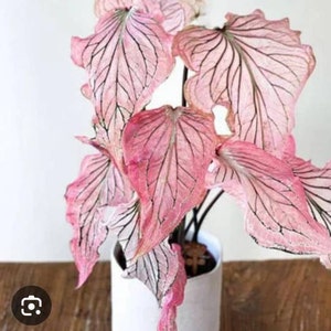 Etsy-Käufer:in hat ein Foto des gekauften Artikels hinzugefügt