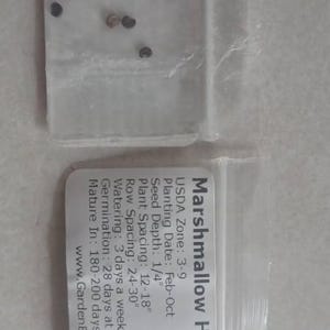 Taitam added a photo of their purchase