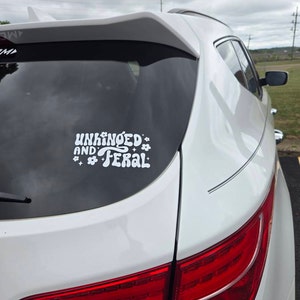 Molly added a photo of their purchase