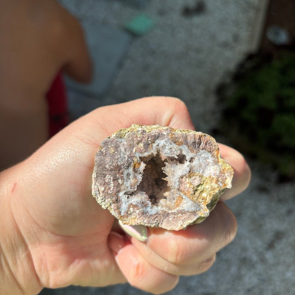 Mexican Geode Variety Pack - Guaranteed Hollow, 2-4