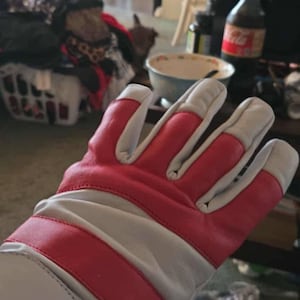 Sam added a photo of their purchase