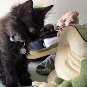 Iris added a photo of their purchase