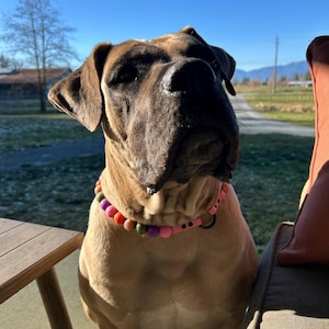 Kristin added a photo of their purchase