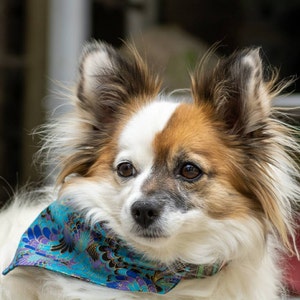 thedeadofme added a photo of their purchase