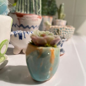 Jan added a photo of their purchase