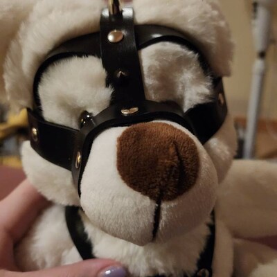 Kinky Fetish Plush Teddy Bear, BDSM Gifts, DDLG Gift, Valentines Gift ...