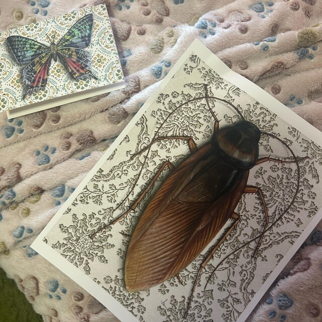 ゴキブリ - アートプリント | アールヌーボーの壁紙、室内装飾