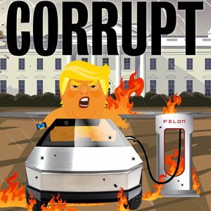 MISS さんが購入した商品の写真を追加しました