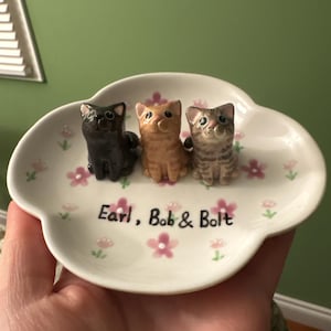 Zhanna added a photo of their purchase
