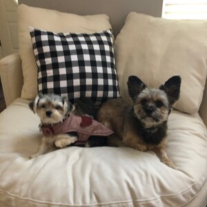 Brittany heeft een foto van zijn/haar aankoop toegevoegd