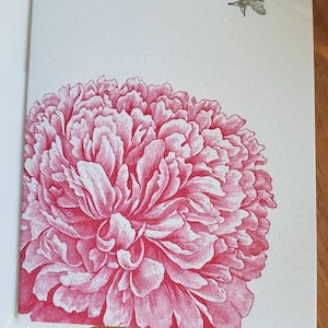 Beth adicionaram uma foto da sua compra