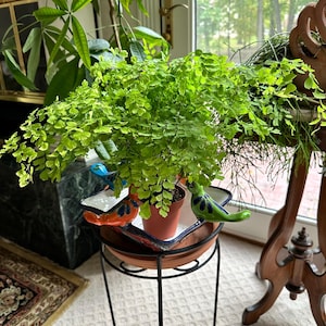 Prem ha añadido una foto de su compra