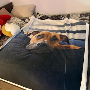 Julia added a photo of their purchase