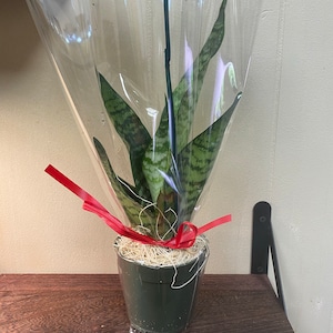 Charles added a photo of their purchase