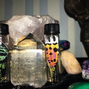 REAL BLACK GREEN SUNSET MOTH BUTTERFLY FAIRY WING PRESERVED IN GLASS VIAL 