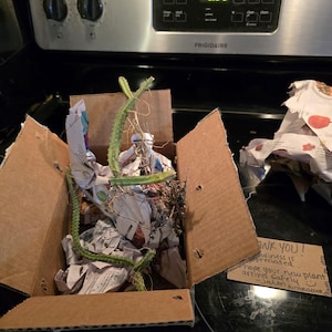 Nfahle added a photo of their purchase