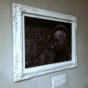 Conjuring added a photo of their purchase