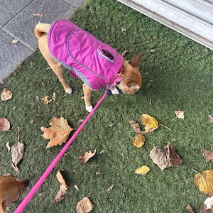 Diana added a photo of their purchase