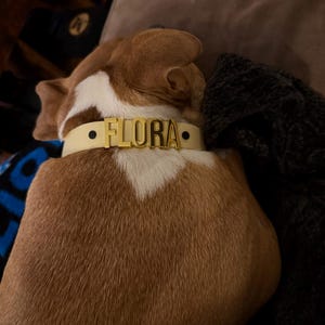 Jess ha aggiunto una foto del proprio acquisto