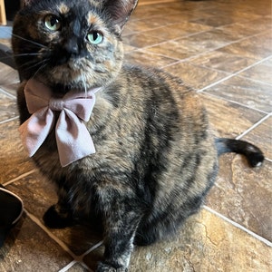 Yuki added a photo of their purchase