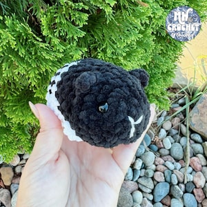 Megan added a photo of their purchase