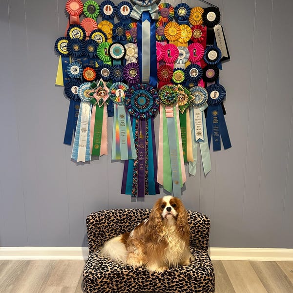 Dog Magnet Display Rack Dog Show Ribbon Display Rack: High Capacity Award Holder (36