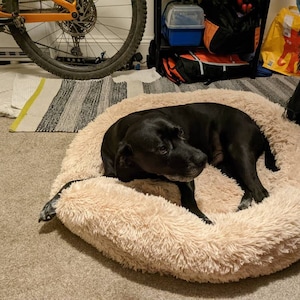 Jinni added a photo of their purchase