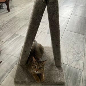 Nikki added a photo of their purchase